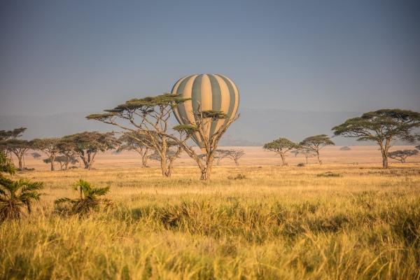 Balloon Safari in the Serengeti