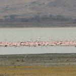 Ngorongoro Conservation Area, Tanzania: History, Tribes & More Feature Image