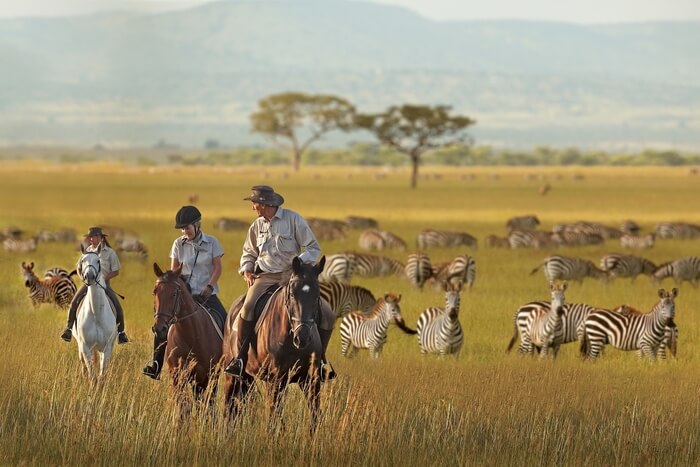 Serengeti Horseback Safari