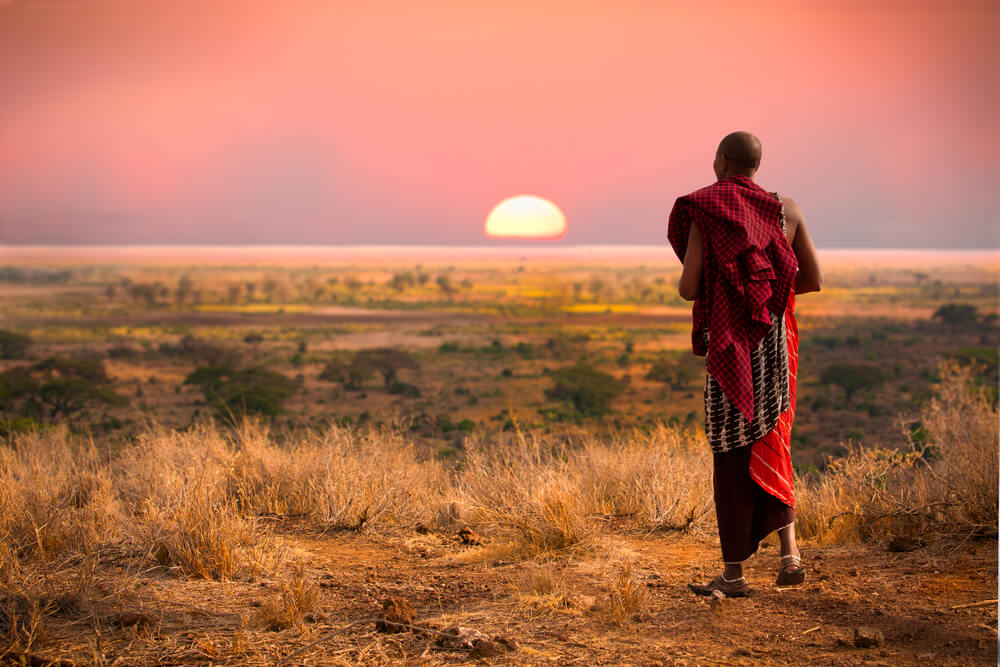 A Maasai man in the wilderness