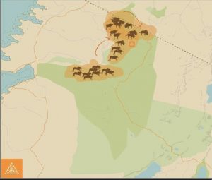 Migrating herds in November