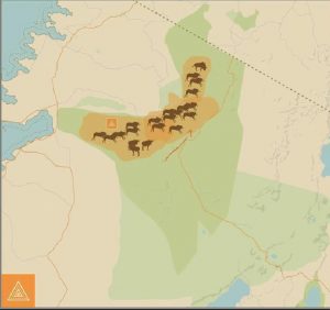 wildebeest migration animation June