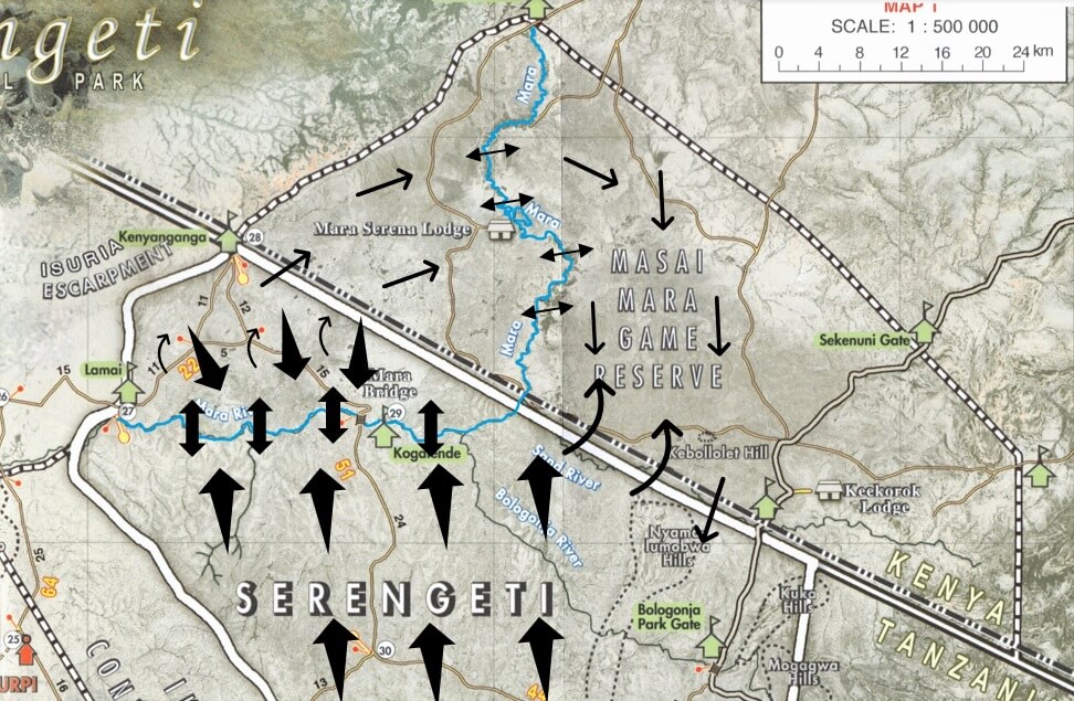 Map showing movements of wildebeest