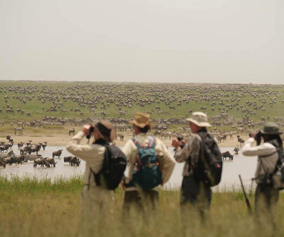 walking in the Serengeti