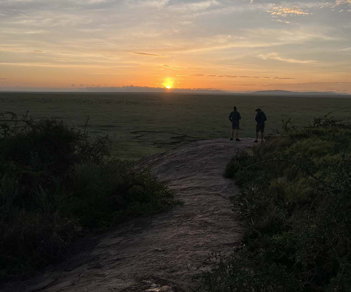 sunset in the Serengeti